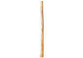 Natural Finish Flared Didgeridoo (TW1378)